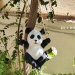 Panda on Branch