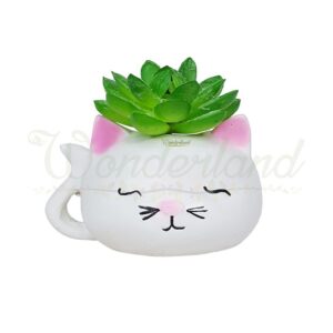 Kitty  Cat Succulent Pot | Positive ambience