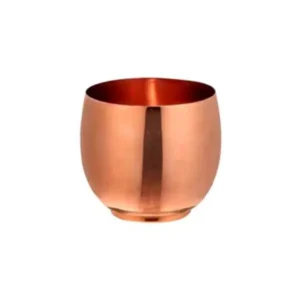 Apple copper mug return gift