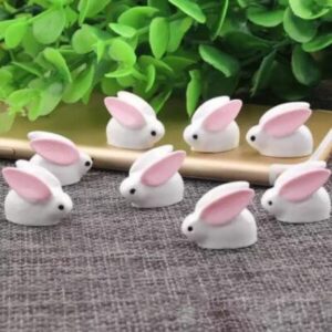 Rabbit pink ears Miniature