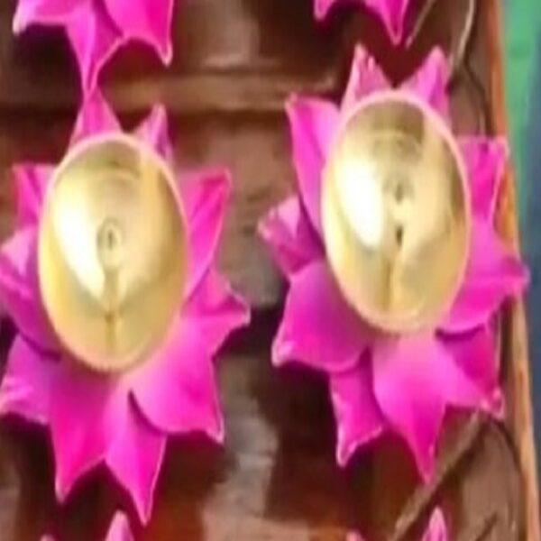 Lotus Brass Lamps