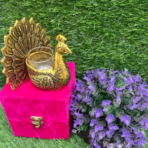 Antique German Golden Peacock Feather with Votive Candle and Velvet Box