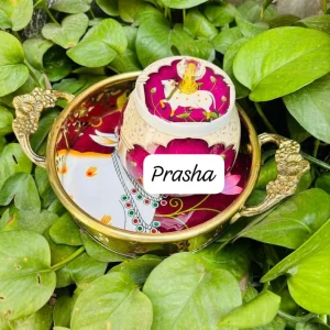 Pure Brass Pichwai Trays And Jar combo