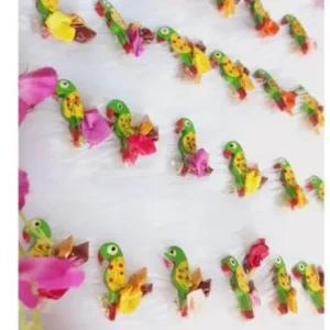 Parrot Pasupu Kumkum Parrot Pasupu Kumkum