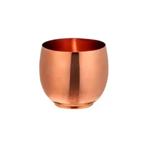 Apple Copper Mug Return Gift Apple Copper Mug Return Gift